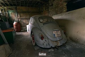 De "kont" van een vergeten Volkswagen Kever.