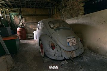Der "Hintern" eines vergessenen Volkswagen Käfers. von Het Onbekende