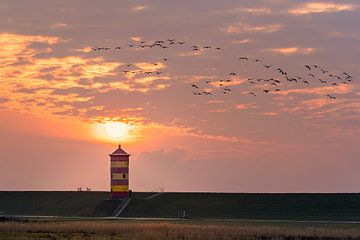 Vuurtoren van Pilsum, Oost-Friesland, Duitsland van Alexander Ludwig