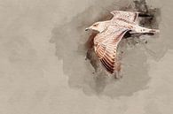 Vliegende jonge zilvermeeuw van Art by Jeronimo thumbnail