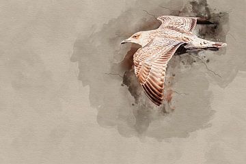 Vliegende jonge zilvermeeuw van Art by Jeronimo