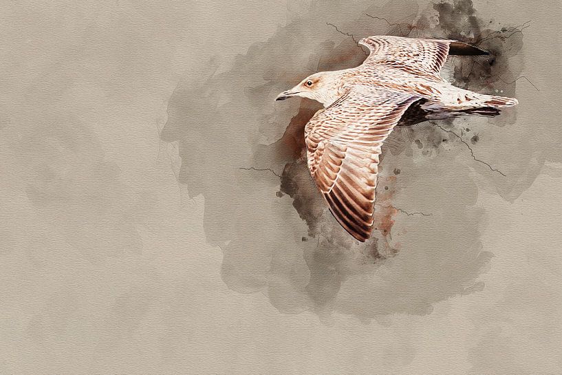 Vliegende jonge zilvermeeuw van Art by Jeronimo