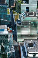 The high-rise buildings of Amsterdam's Zuidas