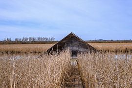 BADEN-WÜRTTEMBERG : BAD BUCHAU - FEDERSEESTEG von Photoart-Naegele