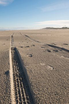 Sporen in het strand van Tonko Oosterink