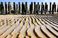 golvend zand von jan van de ven Miniaturansicht