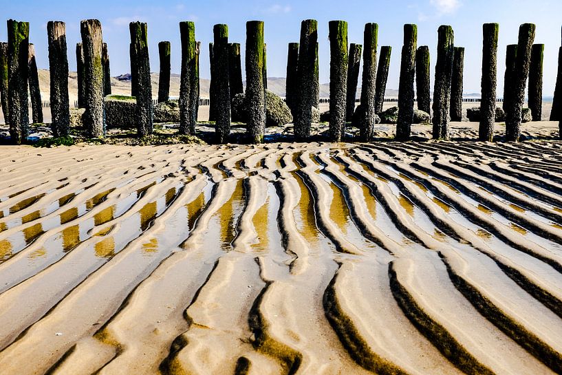 golvend zand von jan van de ven