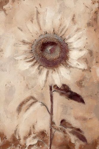 Oog van Zomer | Terracotta