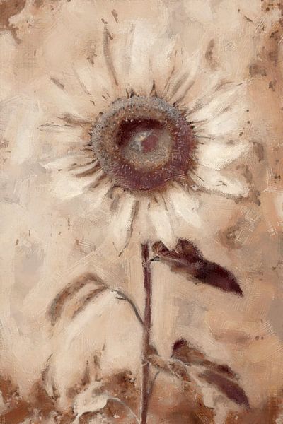 Auge des Sommers | Terrakotta von Kanzo