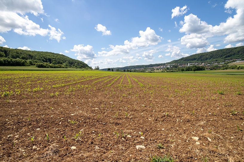 Freshly sown fields in Treuchtlingen, Germany by de-nue-pic