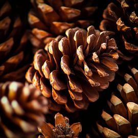 Tenon proximity by Poster Art Shop