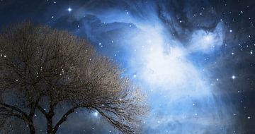 kale winterboom en nachtelijke hemel gemengde techniek van Werner Lehmann