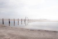 mirror image on the beach