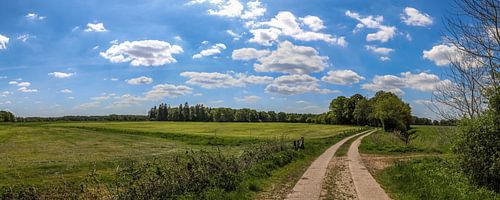 Panorama van een prachtig Noord-Duits landschap met paden en wegen