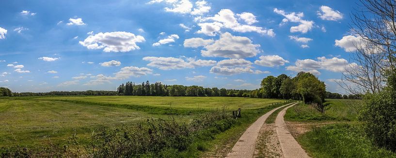 Panorama of a beautiful north german landscape with paths and roads by MPfoto71