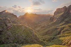Golden light in the Masca Valley – Tenerife
