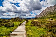 Fairytale hiking trail on Tasmania by Eveline Dekkers thumbnail