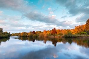 Explosion des couleurs
