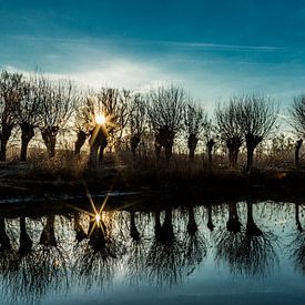Zonsopkomst in de Brabantse Biesbosch by Loek Groot