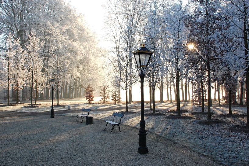Winter auf dem Vorplatz von Schloss Het Loo. von Fred Fiets