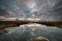 Magische zonsopkomst