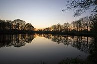 lumière du soir sur le lac avec des arbres alignés par wil spijker Aperçu