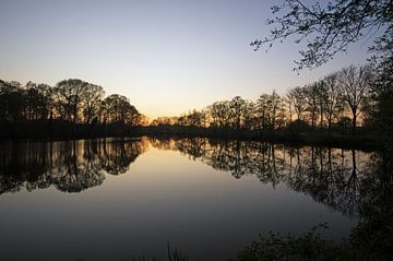 Abendlicht über dem See mit Bäumen in einer Reihe von wil spijker