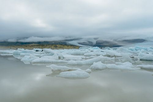 La glace sur l'eau