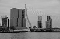 Rotterdam - Erasmusbrug en omgeving - in zwart-wit