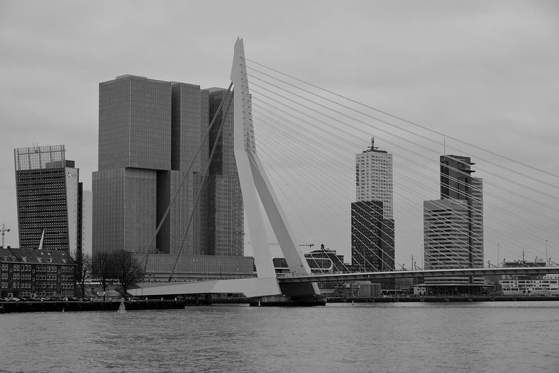 Rotterdam - Erasmusbrug en omgeving - in zwart-wit van Ineke Duijzer