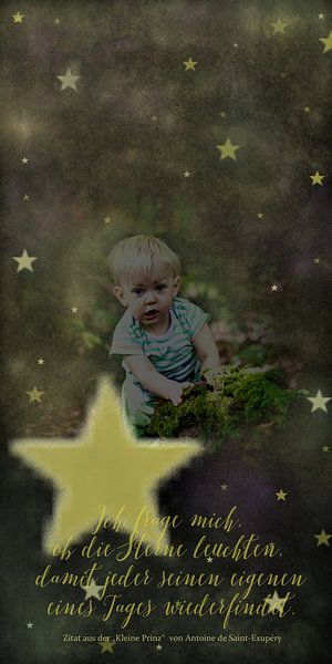 Der Kleine Prinz - Ich frage mich.... von Christine Nöhmeier