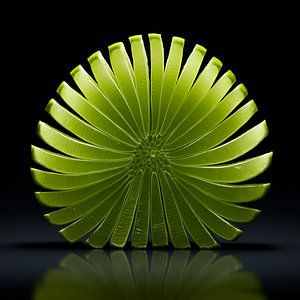 Kunst der Kalkung