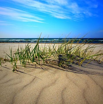 Sandwellen von Ostsee Bilder