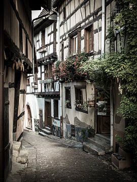 Petite Rue à Eguisheim, Alsace sur Michiel Mulder