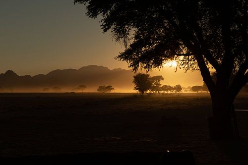 Zonsopkomst in de Namibië woestijn