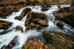 Selkefall
