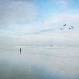 Reflectie van Iris van Heusden