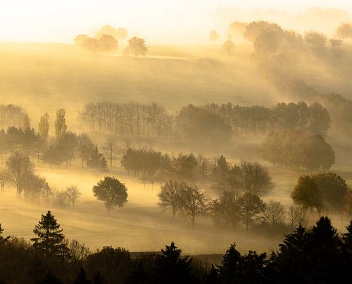 Morgentau über den Hügeln bei Sonnenaufgang