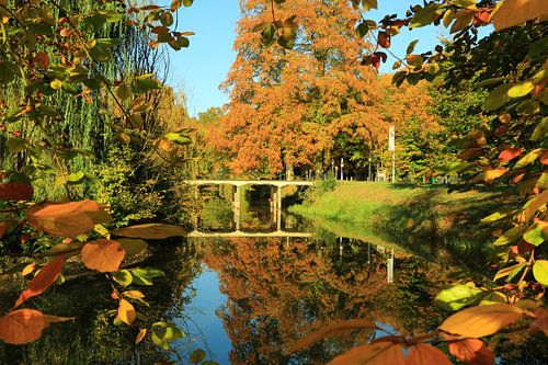 Herfst in de Slangenburg