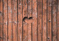 Love is everywhere