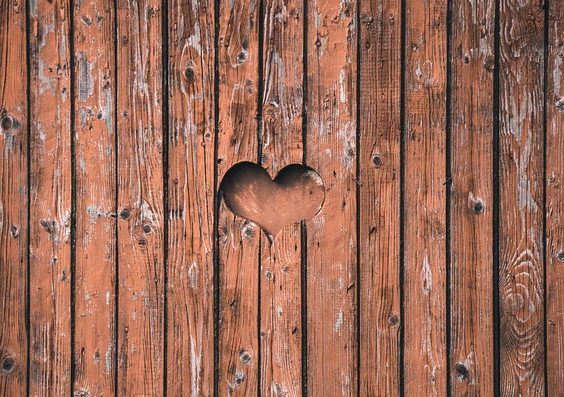 Liefde is overal! par Nynke Nicolai