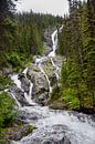 Wasserfall im Westen Kanadas von Manon Verijdt Miniaturansicht