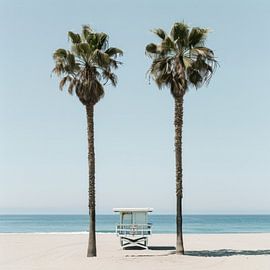 Tropischer Strand mit Palmen von Poster Art Shop