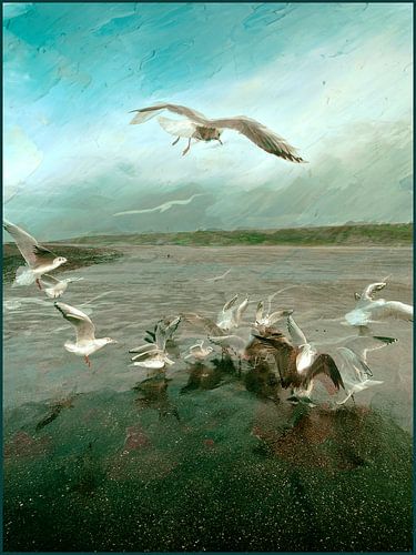 Mouettes en bande