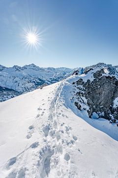 Winteruitzicht op de Allgäuer Alpen in het Rappenalpendal van Leo Schindzielorz