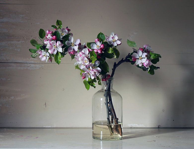Glass bottle with apple blossom by Ton Meijer