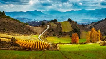 Die Schönheit von Navarra, Spanien von Lars van de Goor