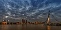 Erasmus bridge von Menno Schaefer Miniaturansicht