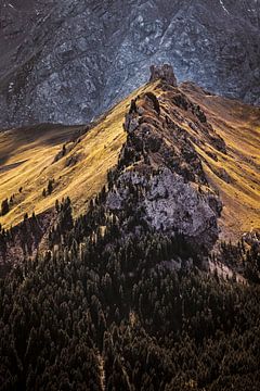 Crête dans les Dolomites vue du Col dei Rossi