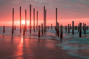 Palendorp Petten 1